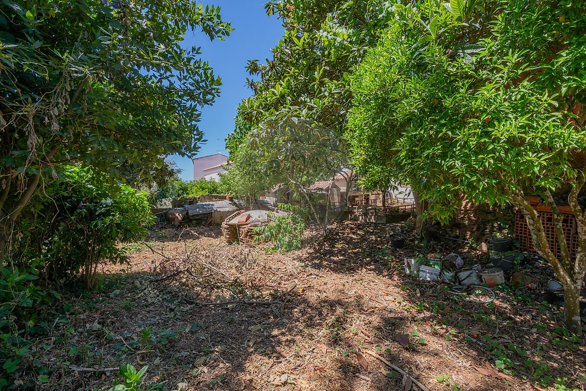 Moradia T3 à venda em Relíquias, Odemira — foto 37