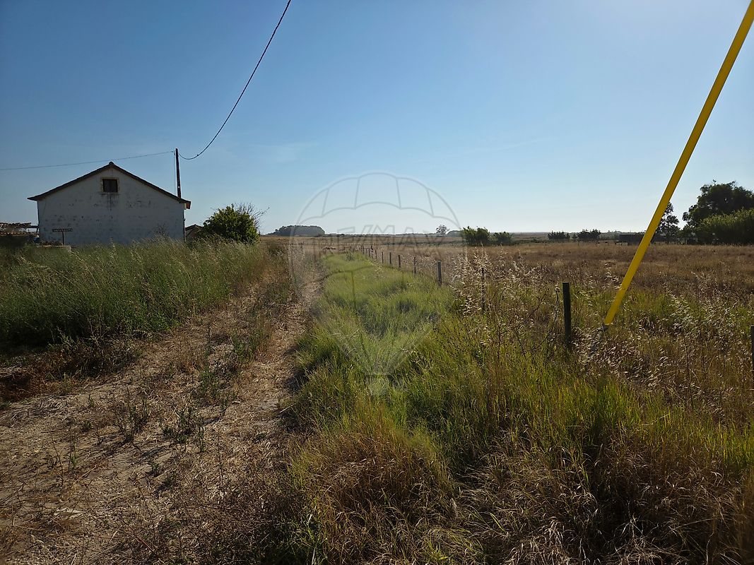Quinta - São Teotónio, Odemira, Beja