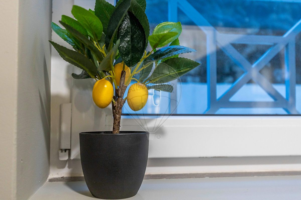 Apartamento T0 à venda em Campolide, Lisboa — foto 25
