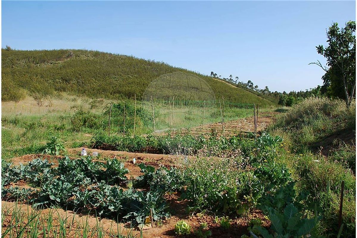 Land for sale in Albufeira, Portugal — €2,400,000