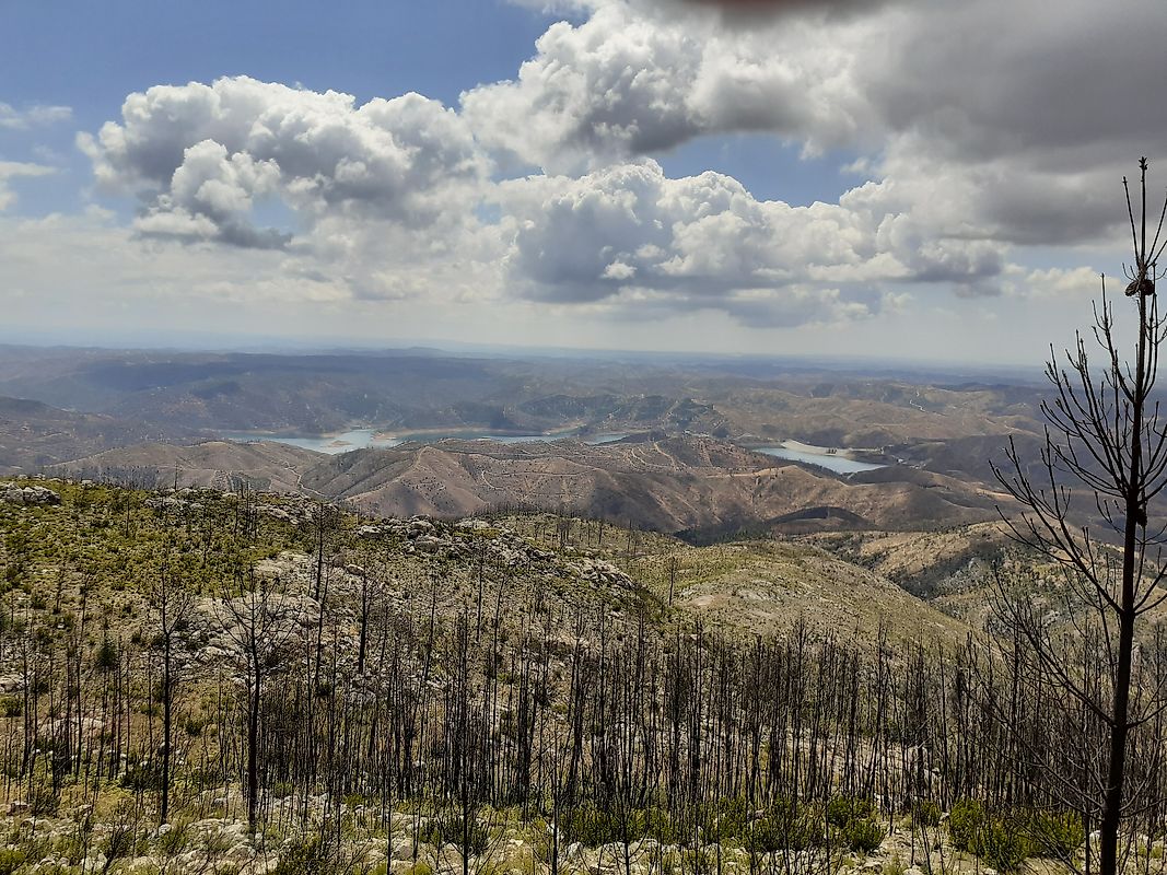 Terreno - Alferce, Monchique, Faro