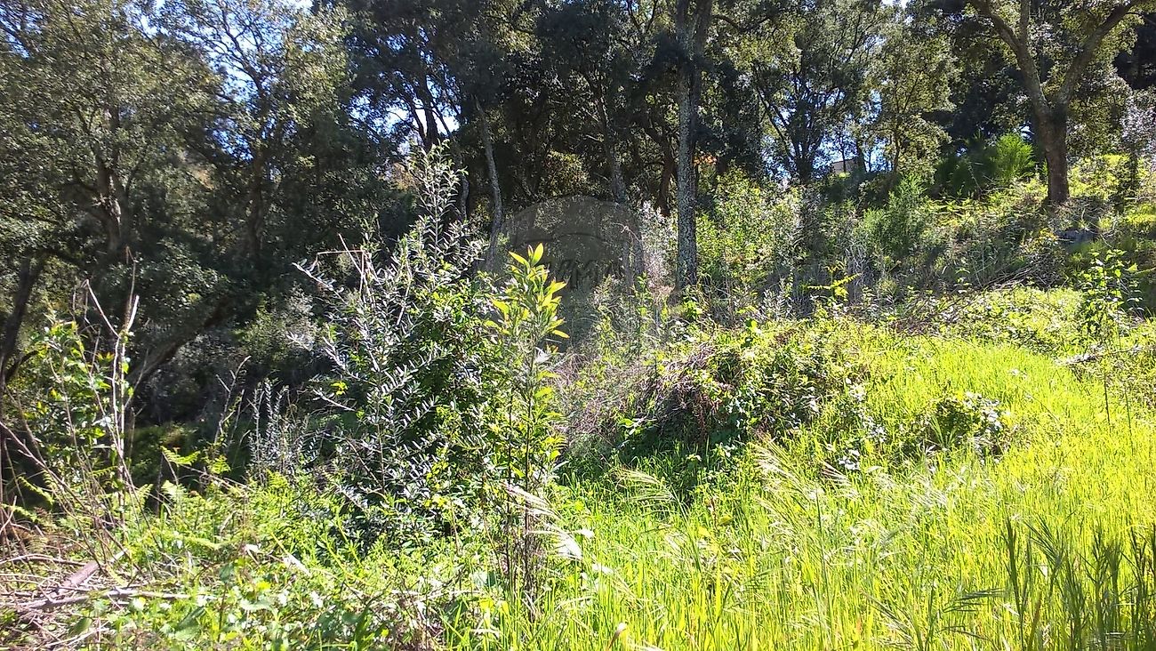 Terreno  à venda em Malhada Quente