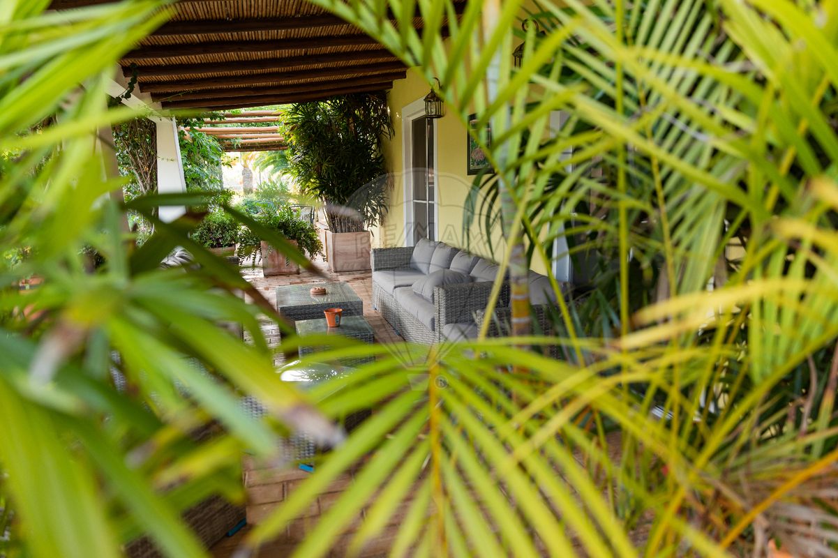 listing 122881006-1221 picture-0