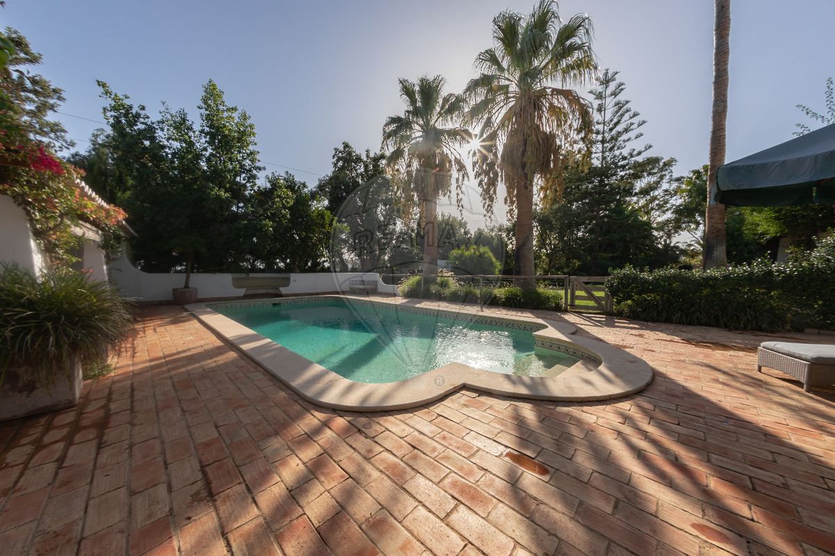 listing 122881006-1221 picture-0