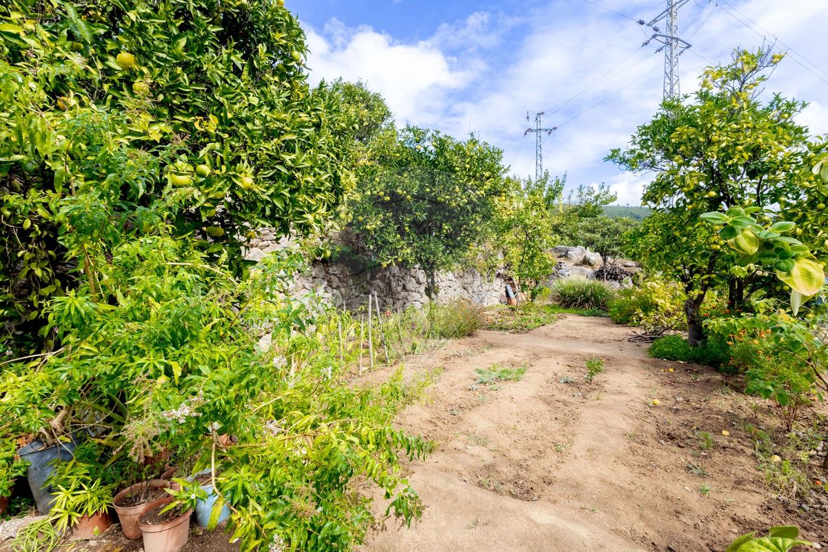 listing 122881182-29 picture-0