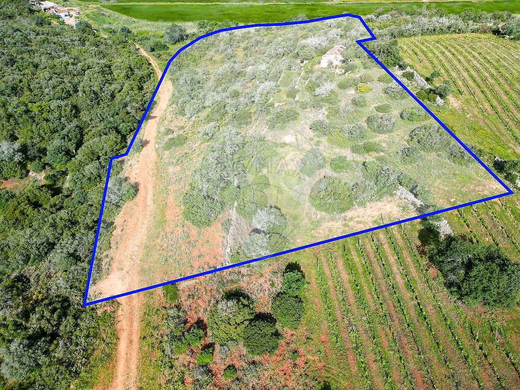 Terreno - Estômbar e Parchal, Lagoa (Algarve), Faro