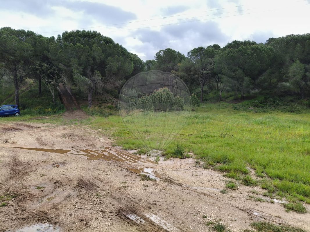 listing 122881304-13 picture-0