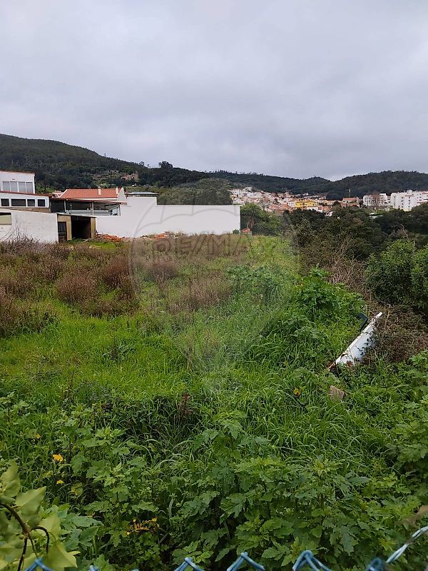 Terreno - Monchique, Monchique, Faro