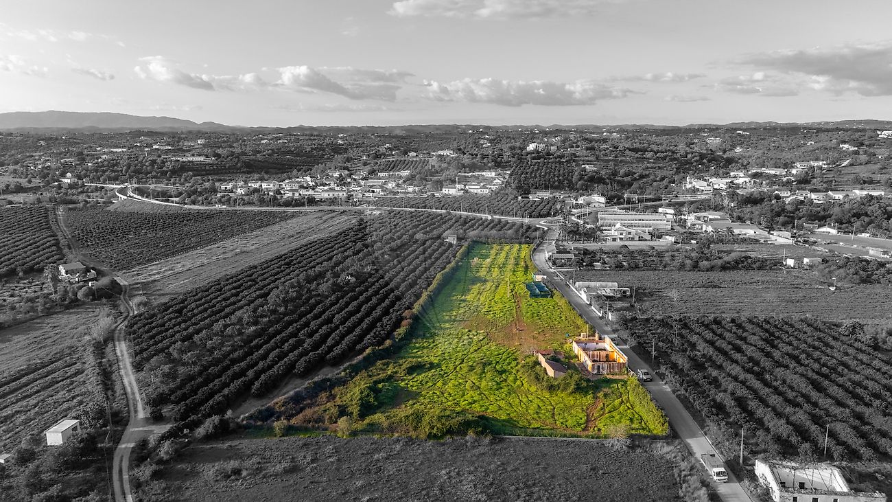 Quinta T3 à venda em Silves