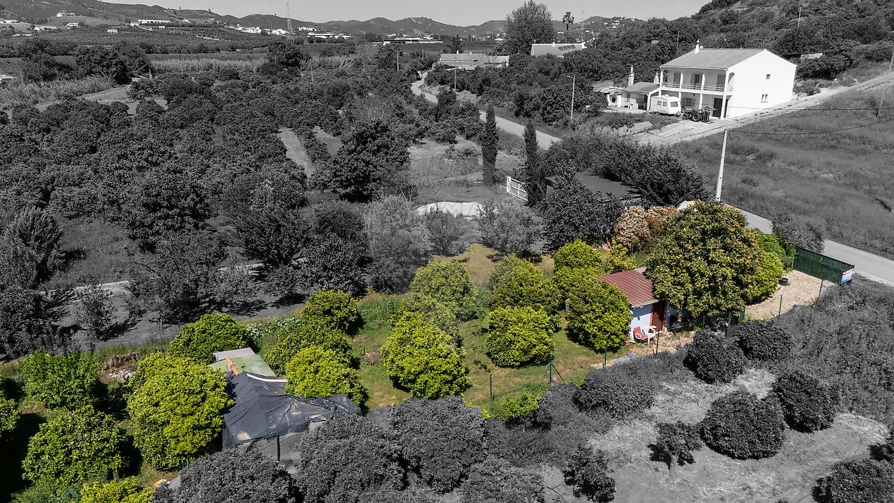 Terreno à venda em Silves