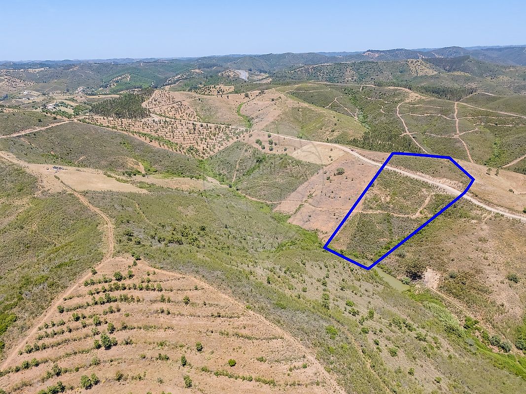 Terreno - São Bartolomeu de Messines, Silves, Faro