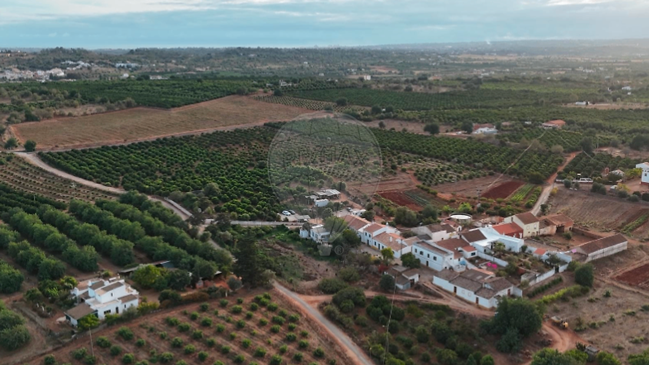 Quinta - Algoz e Tunes, Silves, Faro