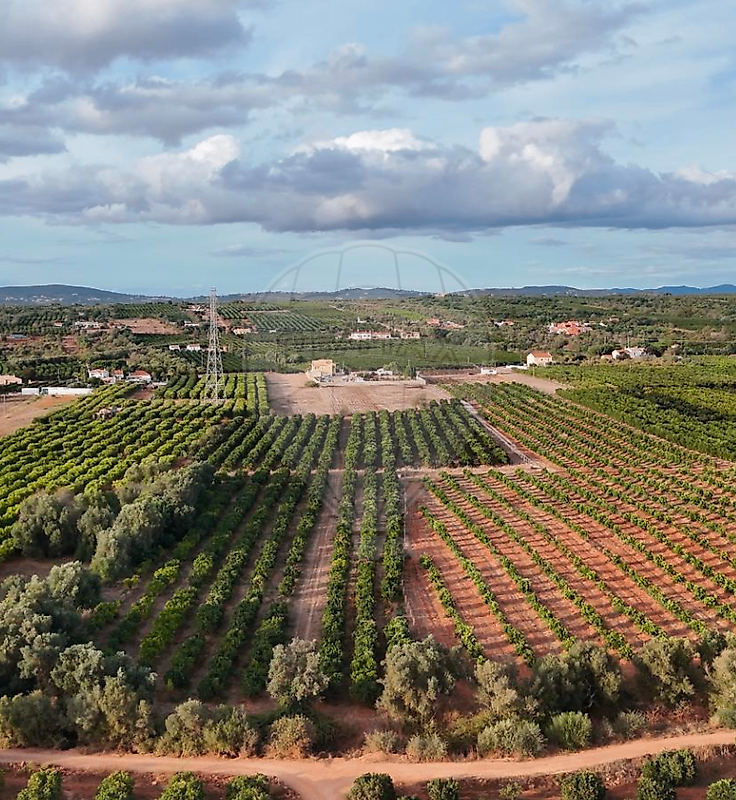 Terreno - Algoz e Tunes, Silves, Faro