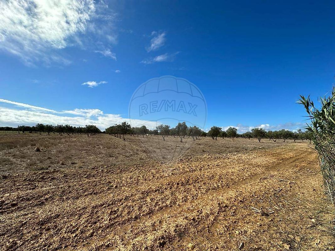 Land for sale in Odemira, Portugal — €128,000