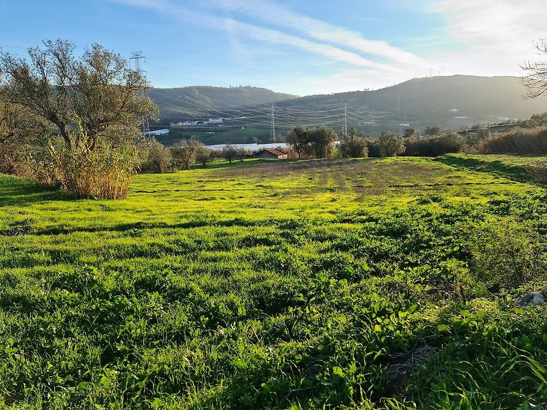 Terreno  à venda em Loures