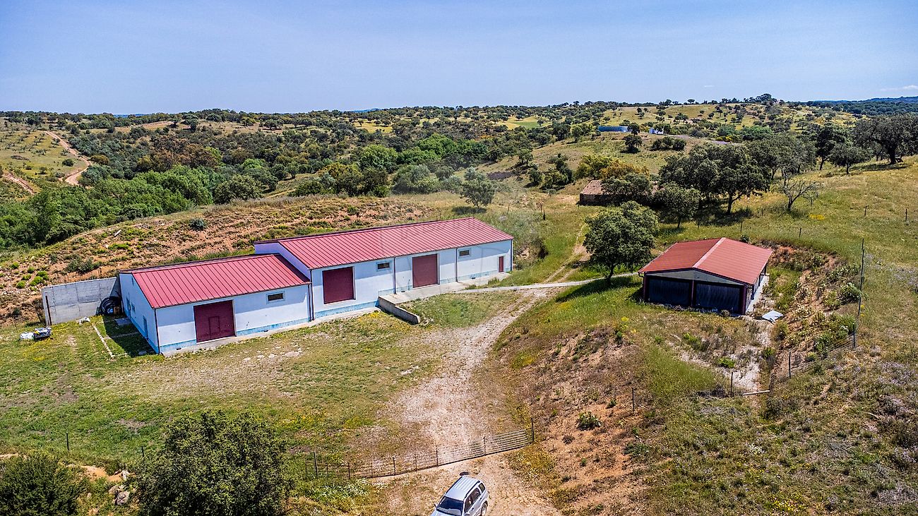 listing-picture-0