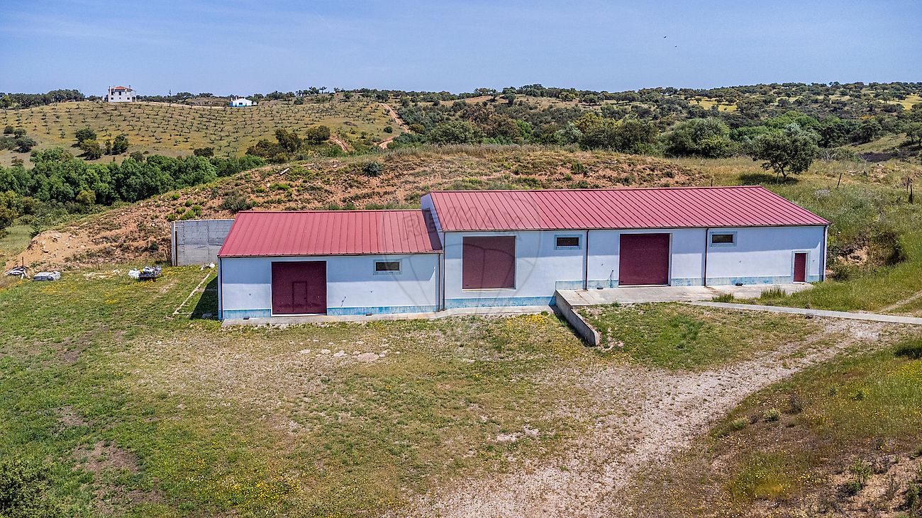 listing-picture-0