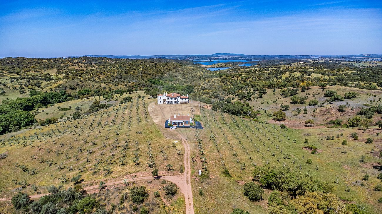 Herdade para venda