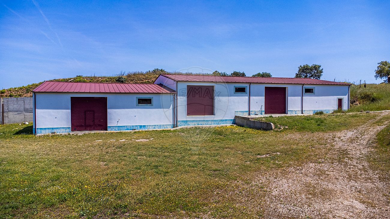 listing-picture-0