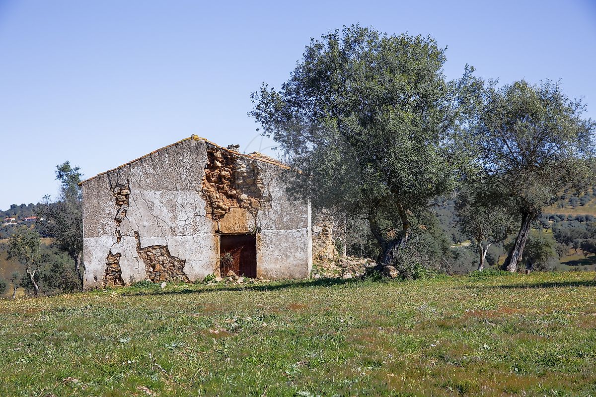 listing-picture-0