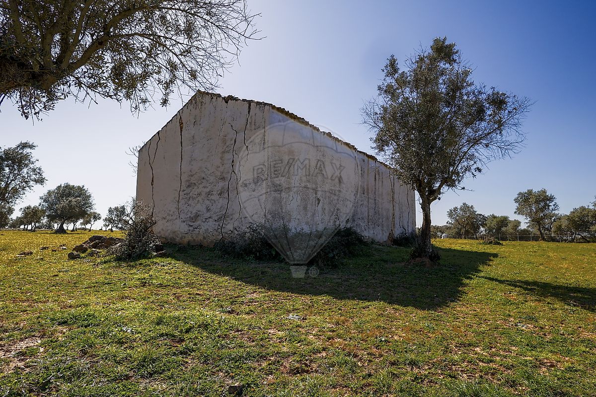 listing-picture-0