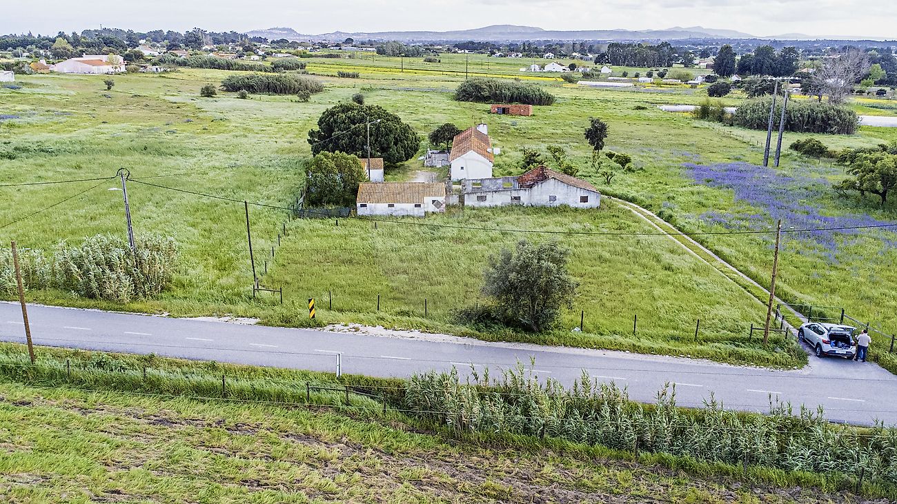 listing-picture-0
