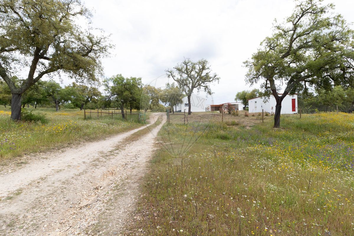 listing 122911716-3 picture-0