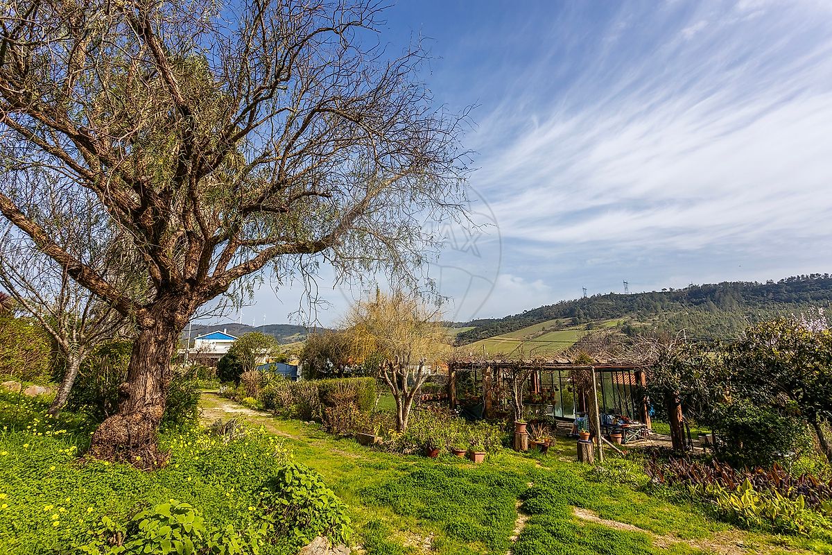 Moradia T6 à venda em Torres Vedras