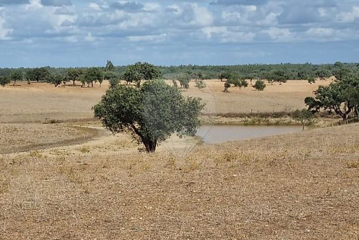Terreno - São Domingos e Vale de Água, Santiago do Cacém, Setúbal