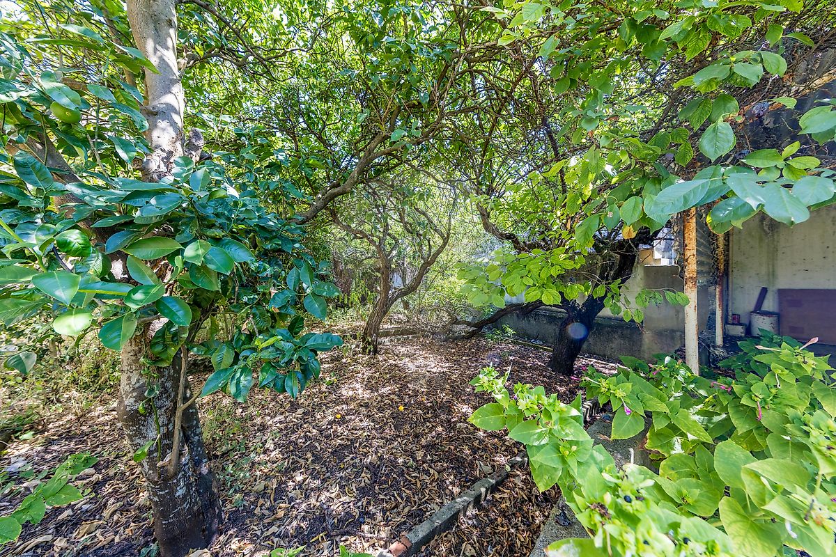 Moradia T6+ à venda em Oeiras e São Julião da Barra, Paço de Arcos e Caxias, Oeiras — foto 6