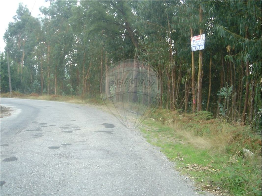Terreno à venda em Vila Verde