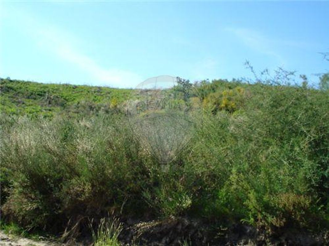 Terreno à venda em Vila Verde
