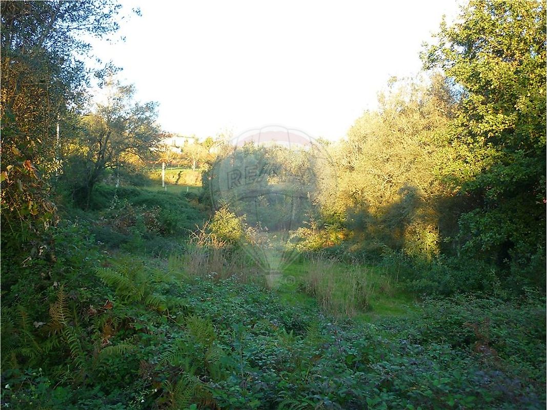 Terreno à venda em Vila Verde