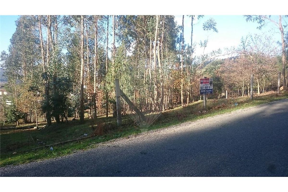 Terreno em Marrancos Constrçao