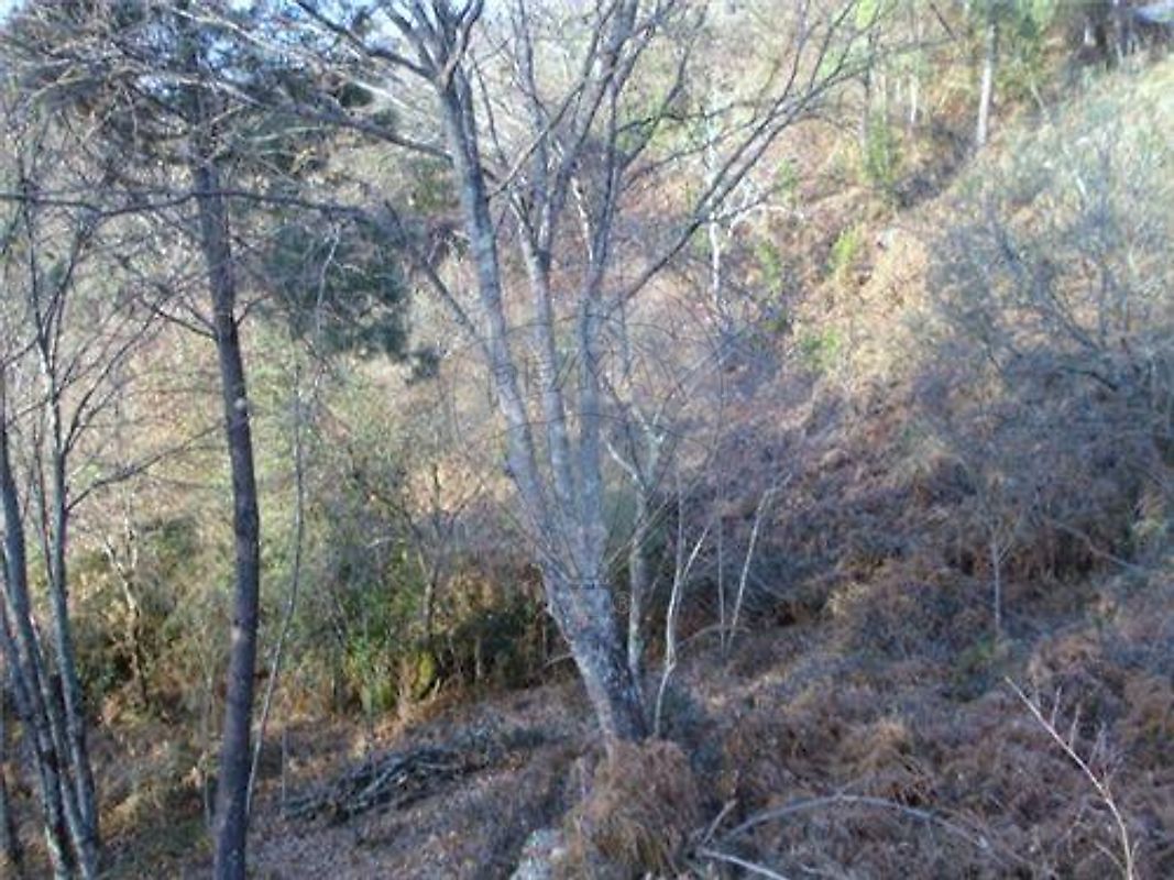 listing 123001021-86 picture-0