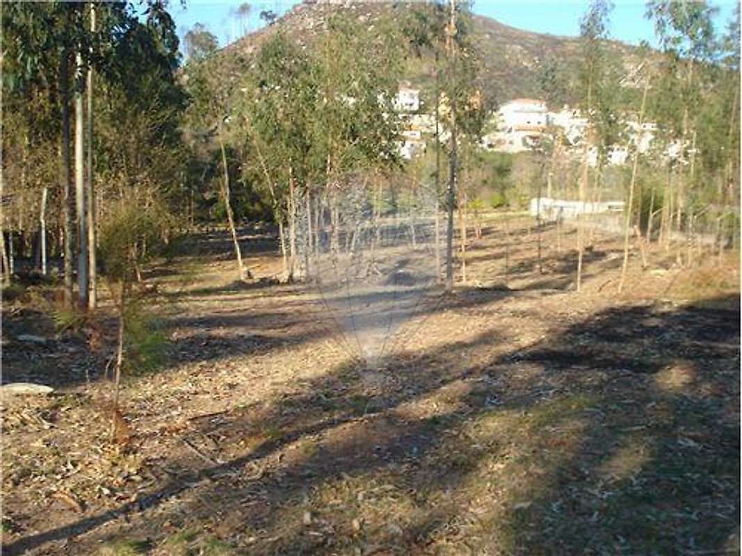 Terreno à venda em Vila Verde