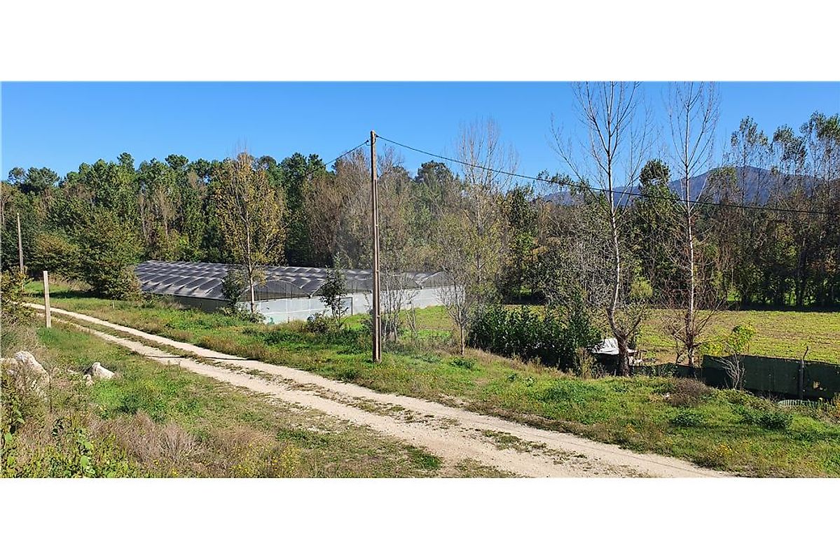 Terreno  à venda em Vila Verde
