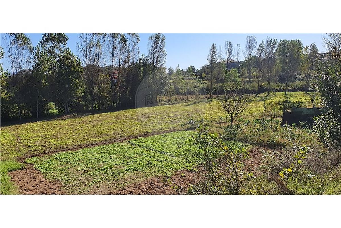 Terreno à venda em Vila Verde