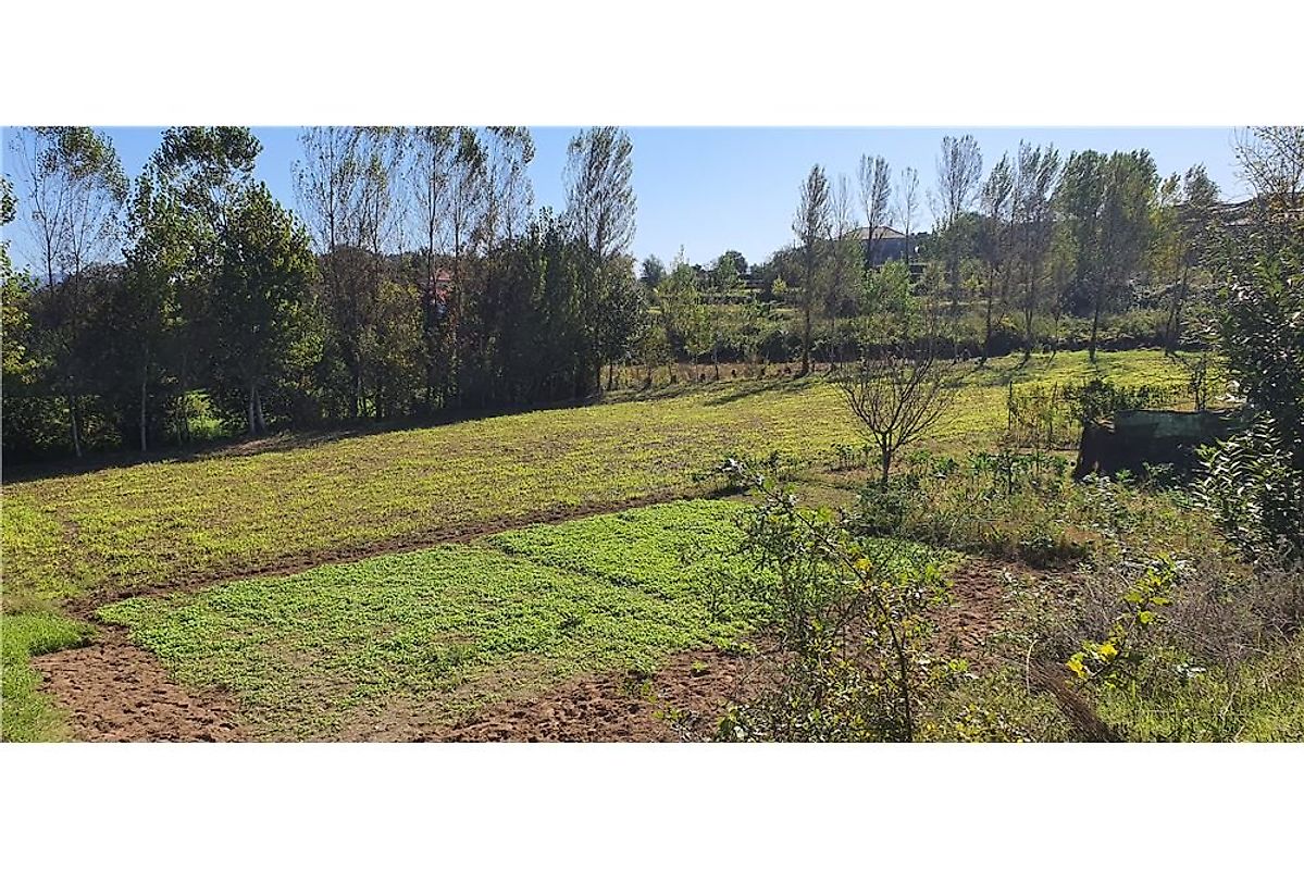 Terreno  à venda em Vila Verde