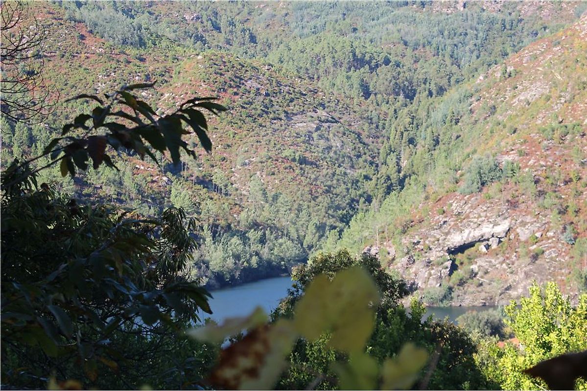 Terreno  à venda em Vieira do Minho