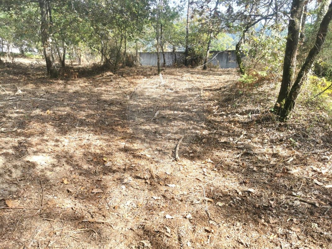 listing 123001029-191 picture-0