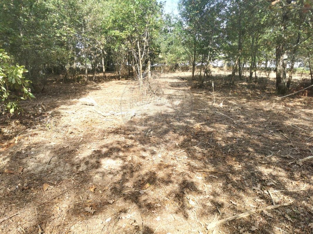 listing 123001029-191 picture-0