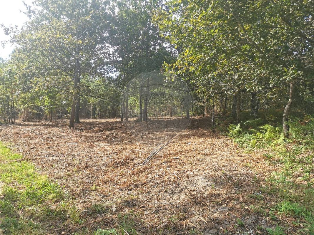 listing 123001029-191 picture-0