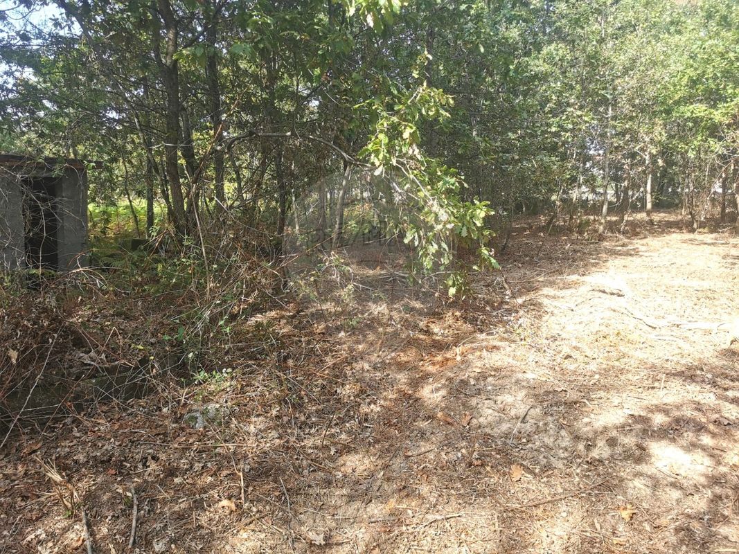listing 123001029-191 picture-0