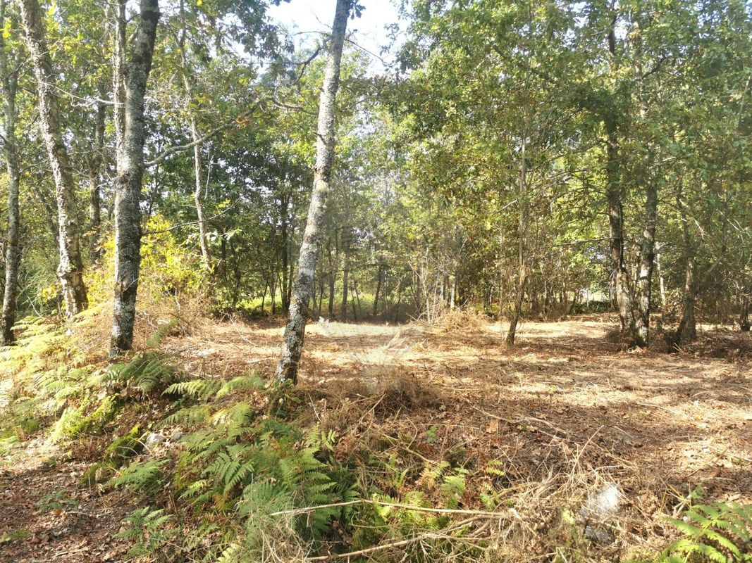 listing 123001029-191 picture-0