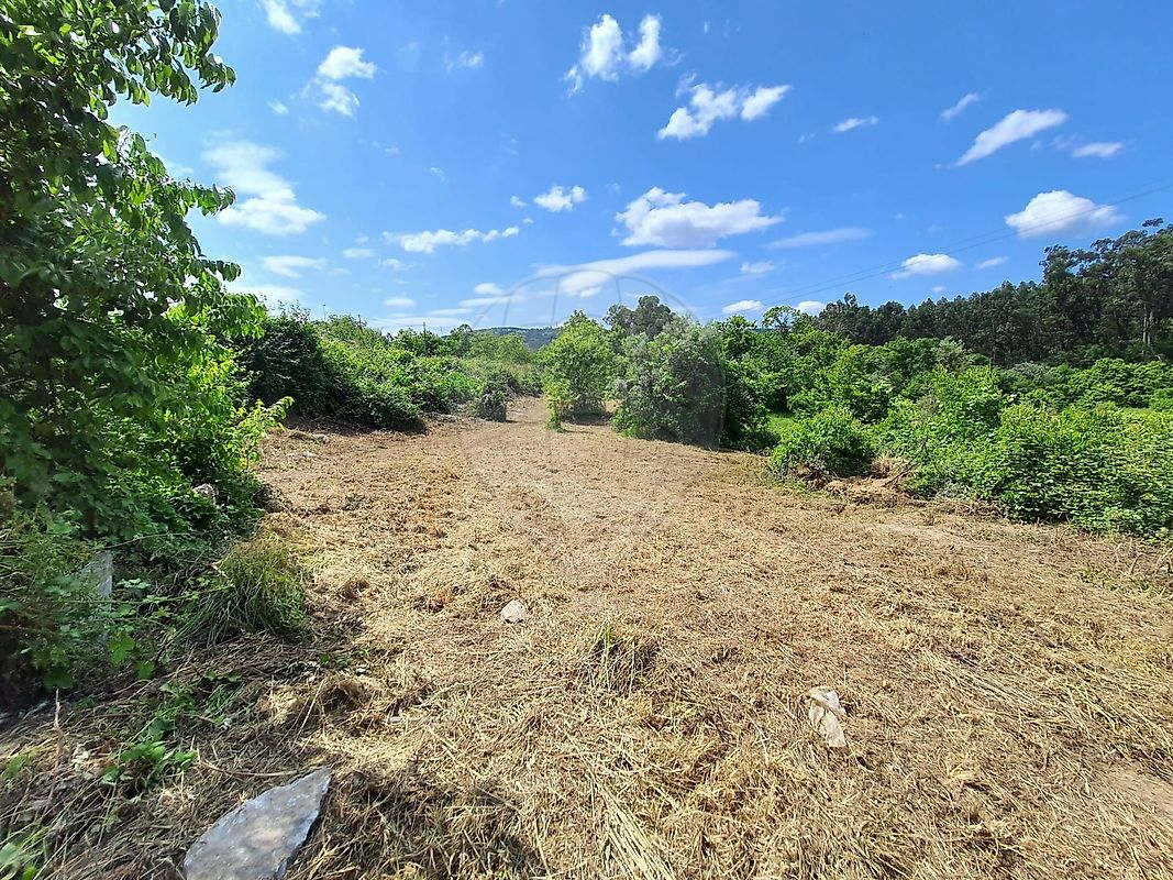 Terreno  para venda