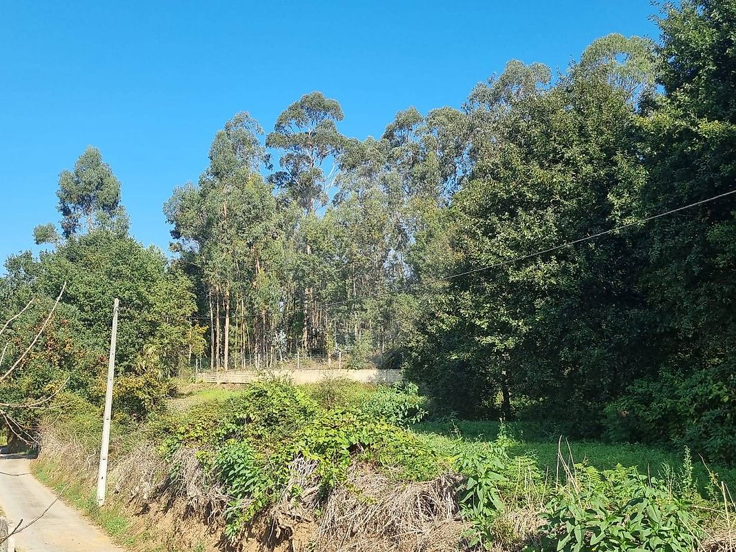 Terreno para venda