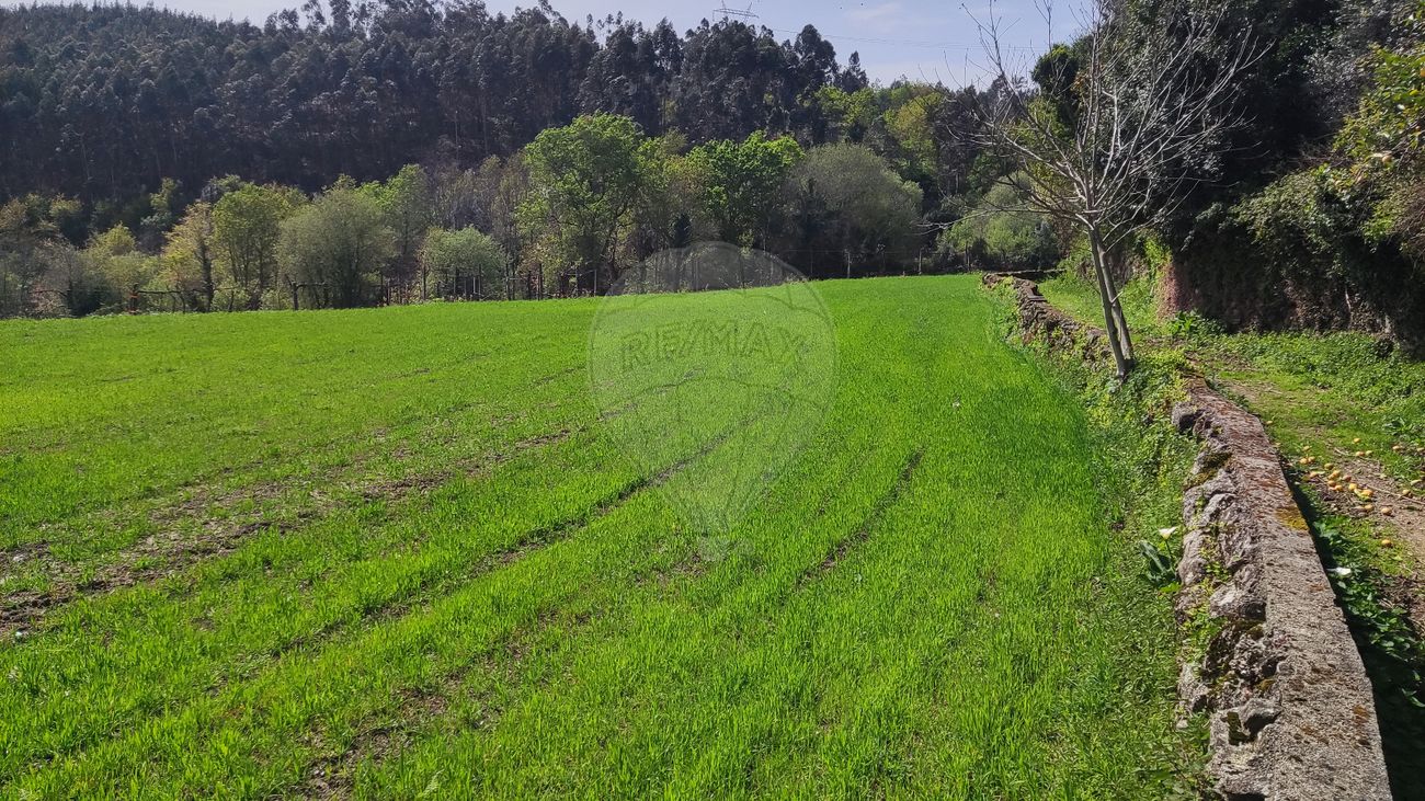 Terreno para venda