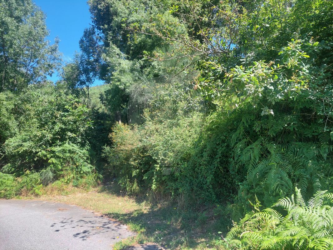 Terreno para venda