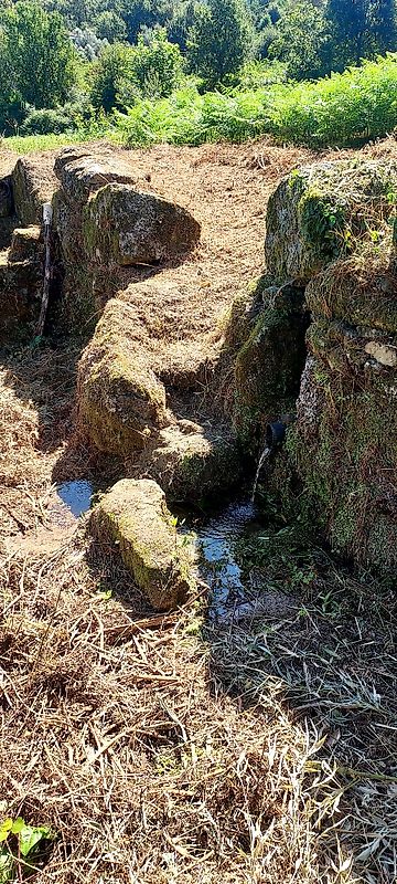 listing 123001097-119 picture-0